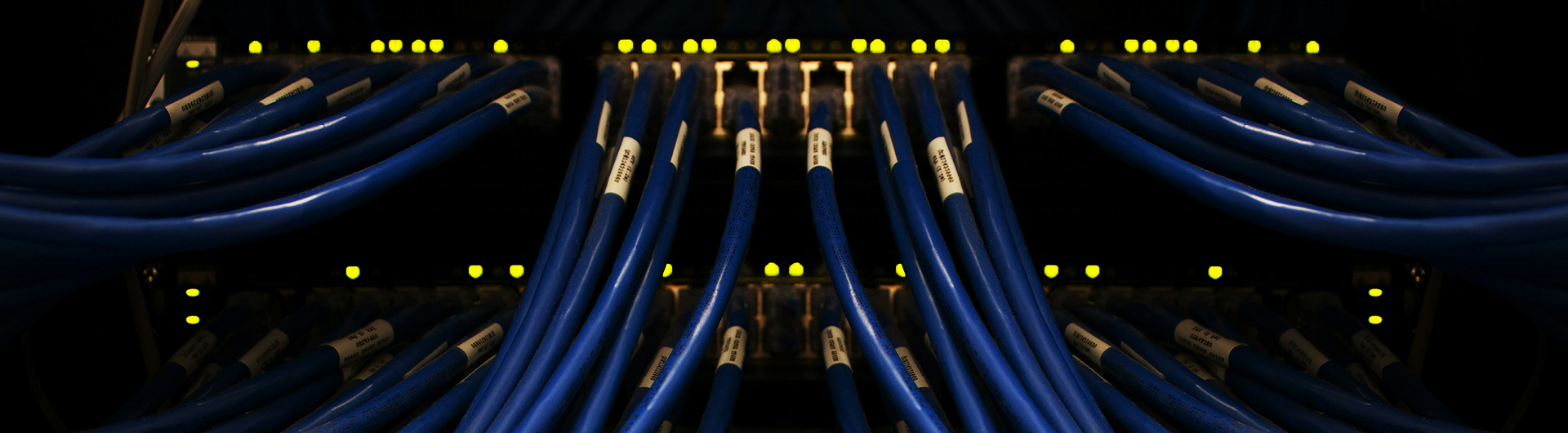 Diploma in Information Technology